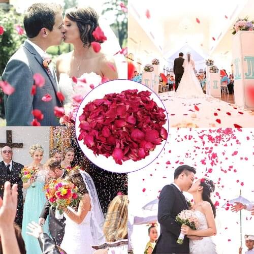 Behogar 50 Grams Dried Rose Petals Natural Real Red Rose Flower Petals for Bath Wedding Confetti Party Decoration Crafts