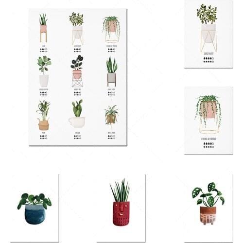 Plant care illustration, plant lover prints, indoor plant graphic art prints, Valentines Day gift posters