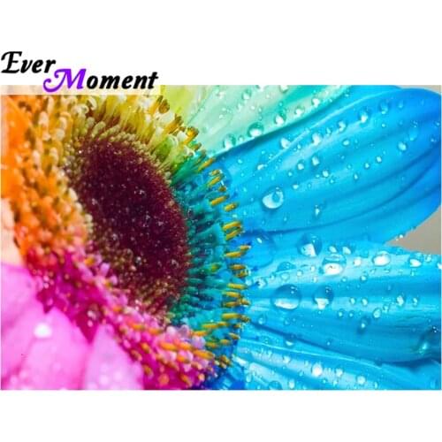 Ever Moment Diamond Painting Colorful Flower DIY Diamond Embroidery Square Crystal Floral Series Home Decoration Painting ASF983
