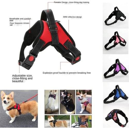 Dog Collar Harness Small Dog Collar for Cats Dog Accessories Dog Leash Dog Harness Dog Cat Collar Dog for Dogs