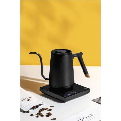TIMEMORE fish smart mini gooseneck variable kettle electric pour over kettle 600ml 220V temperature control hand brew coffee pot
