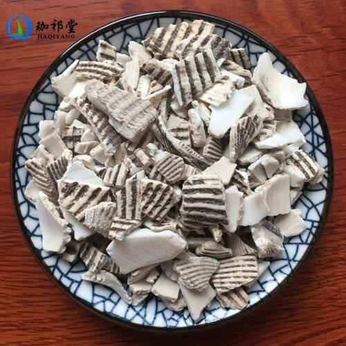 Concha Arcae Ark Shell Arca Subcrenata Lischke WaLengZi