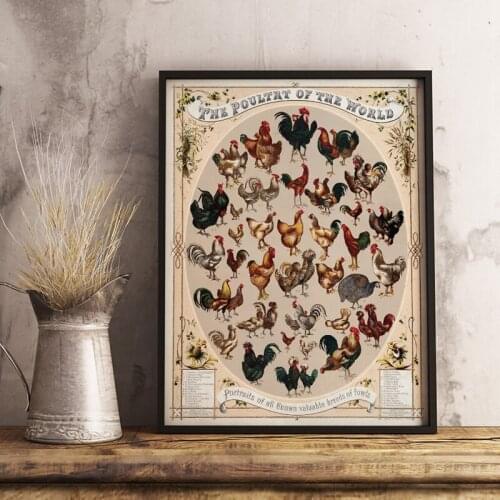 Vintage Poultry of the World Print Poster Rooster Chicken Hen Breeds Antique Wall Art Picture Canvas Painting Farm House Decor
