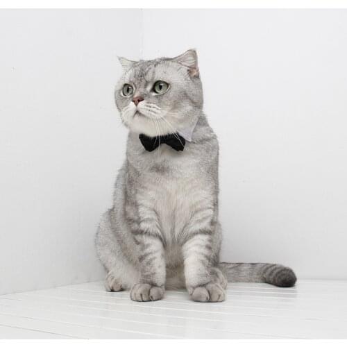 1PC Pet Dogs Cat Bow Tie Collar Necktie Bowknot Decor Bowtie Holiday Wedding Decoration Puppy Kitten Adjustable Accessories