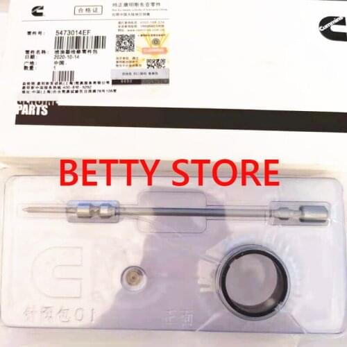 Original New Fuel Injector Repair Parts Kits 5473014EF For 4307475