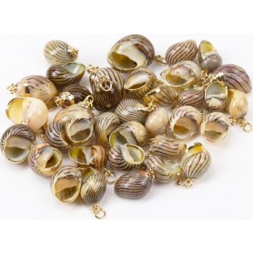 Black Natural Stripe Spiral Shell Gold Plated SeaShells for DIY handmade Home decoration jewelry making 5pcs