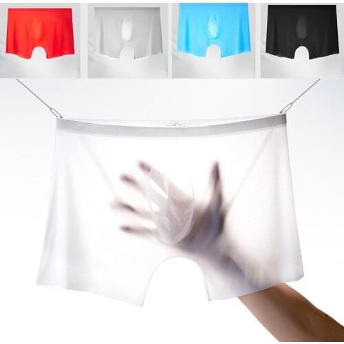 Sexy mens transparent underwear punch die ultra-thin hairy ice silk seamless trendy boxer briefs sissy panties erotic lingerie