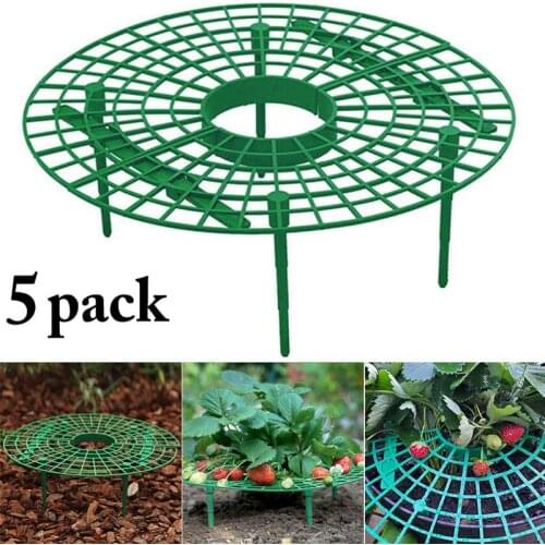 5PCS Strawberry Support Plastic Creative Plant Support Rack Plant Climbing Rack Flower Climbing Vine Pillar Gardening Stand