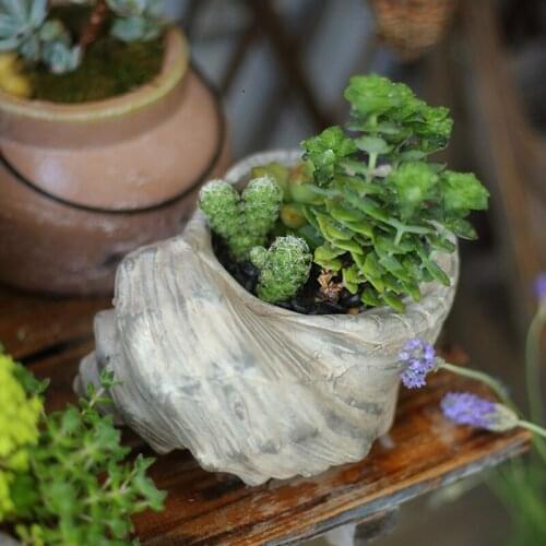 Conch Flower Pot Ceramic Antique Vintage Decoration Gift Ornaments American country Garden With Hole Planting Plant Flower Pot