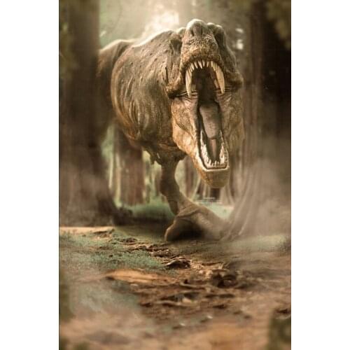 Jurassic park t-rex dinosaur Forest road photo backdrop High quality Computer print children kids background