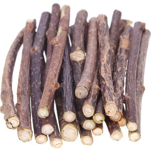 Pure Natural Catnip Pet Cat Toy Molar Toothpaste Branch Cleaning Teeth Silvervine Cat Snacks Sticks Pet Supplies