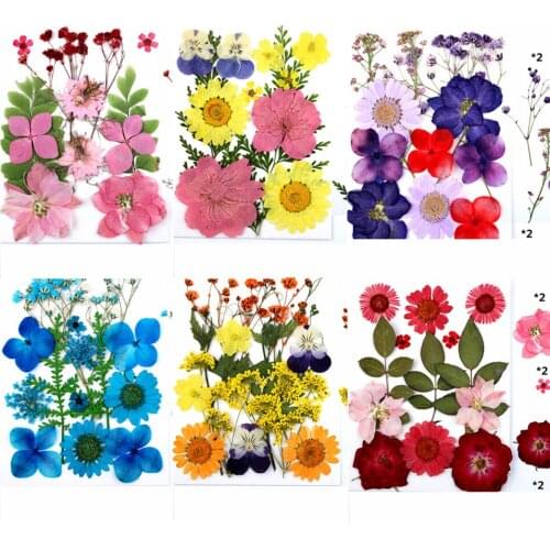 1 Pack Real Dried Flowers Plant Pressed Flower For Aromatherapy Candle UV Epoxy Resin Pendant Necklace Jewelry Making Craft XY09