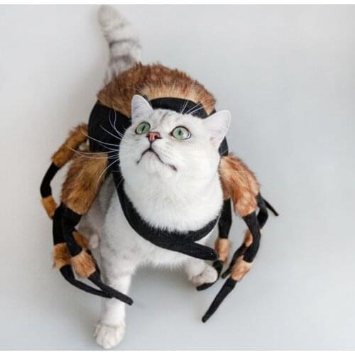 Legendog Halloween Pet Spider Clothes Simulation Spider Puppy Cosplay Costume For Dogs Cats Party Dress Cosplay Funny Outfit