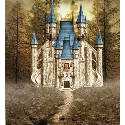 VinylBDS Thick Cloth Backdrops For Photography Wild Cartoon Castle Kate Background Backdrop Fabric Backgrounds