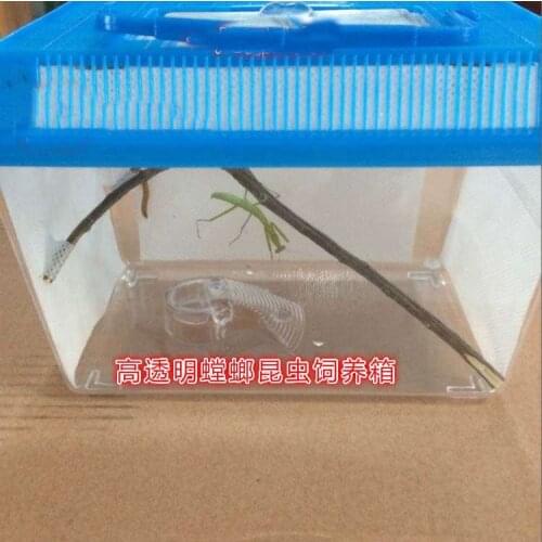 Insect Grasshopper Feeding Cage Cricket Hamster Small Box Children Kids Gift Toy Exploring Ability Developing Unisex 2021