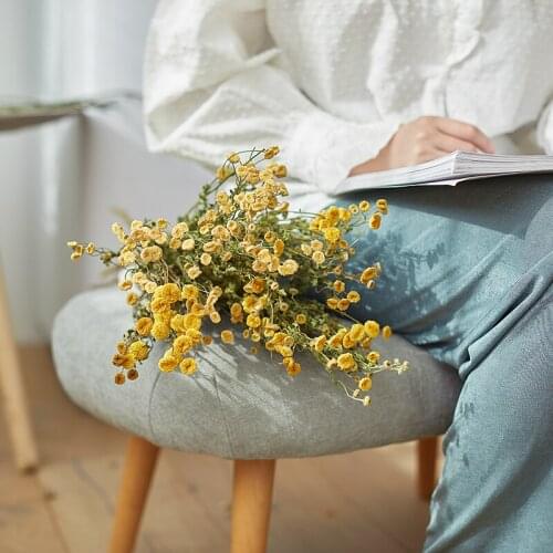 Pastoral Style Natural Dried Flower Arrangement with Hipster Furnishings Ornamental Flower Photographic Prop Mini Chamomile