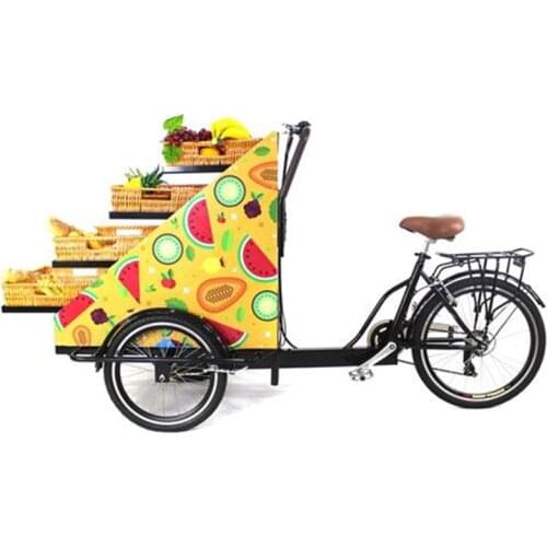 Mobile Adult Tricycle Cargo Bike Pedal and Electric Bread Snack Pizza Fruit Fast Food Cart On Street for Sale