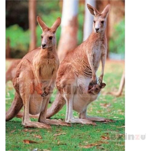 Kexinzu Full 5D DIY Square/Round Drill Diamond Painting "kangaroo Animal" 3d Diamond Embroidery Cross Stitch Decor Gift Ke061