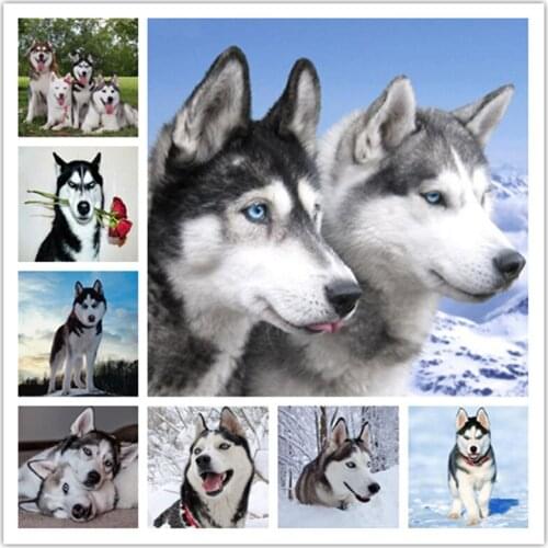 DIY Diamond Painting Cross-Stitch Animal Dog Mosaic Crystal Interesting Husky Kit Embroidery Picture Rhinestone Craft Christmas
