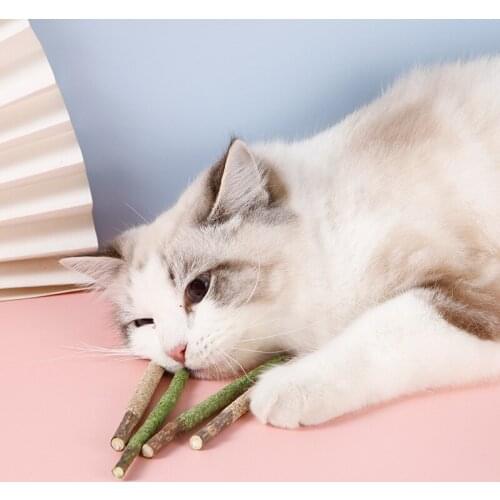 Catnip Funny Toys for Cats Molar Pet Products Goods for Cats Products for Pets Cat Toys Kittens Accessories Supplies Catnip Toy