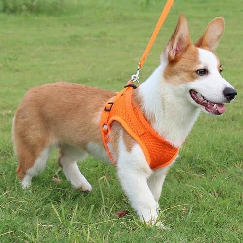 Traction Rope 360 Degree Reflective Design Explosion Proof Polyester Pet Dog Chest Strap for Outdoor