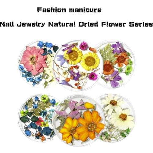 10.5g Mixed Dried Flower Nail Decoration Accessories Natural Flower Leaf Sticker 3D Nail Art Design Polished Manicure Accessorie