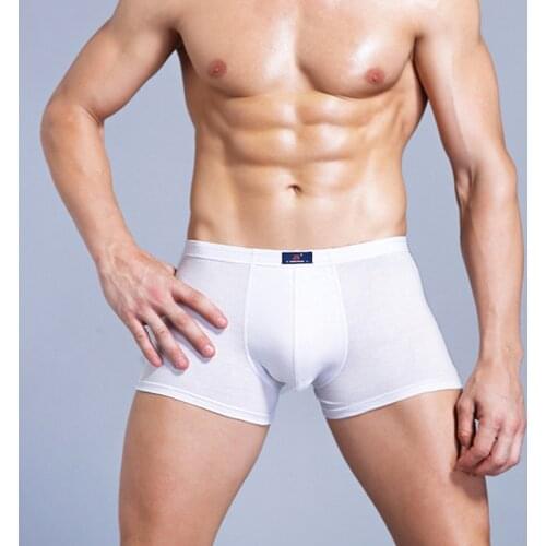 Men Underwear Pure White Pure Cotton Light Color Simple Youth Boxer Shorts Breathable Comfortable Male Boxers U Convex Pouch