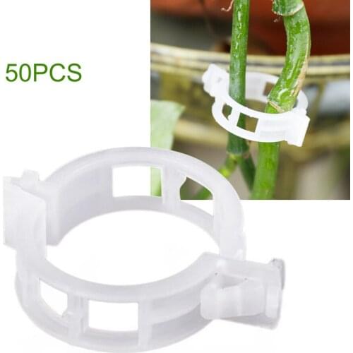 Vineyard Garden Clamps Plants Support Controll The Growth 100pcs Plastic Greenhouse Transparent Vegetables Tomato Fixing Clips