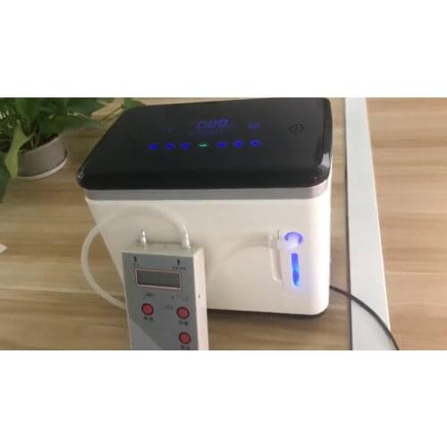 Personal Oxygen Generator Oxgen Concentrator Compressor 1 Liter Nebulizer Oxygen Producing Machine