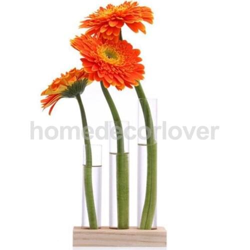 3Pcs Cylinder Glass Hydroponic Flowers Vase Terrarium Container + Wood Base