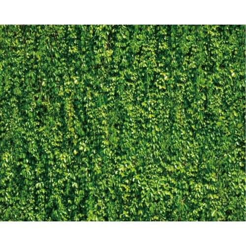 Green Plant Vine Wall Backdrop Baby Shower Party Birthday Room Decor Photo Booth Studio Prop