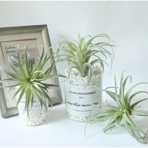 Artificial Pineapple Fleshy Air Grass Plant Flowers Home Decoration Simulation Plant Green Subtropical Decorative Grass