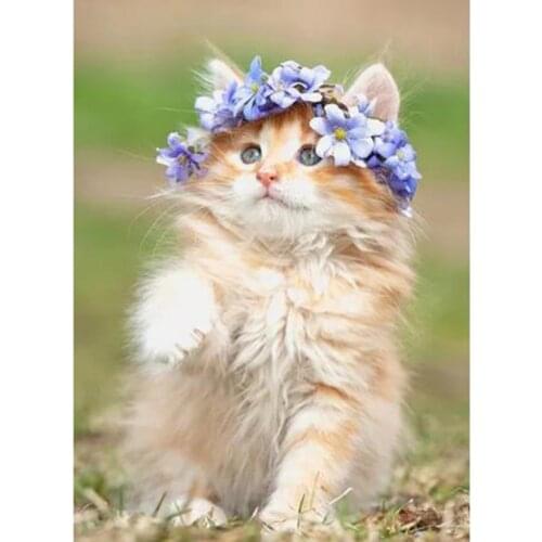 5D DIY Diamond Painting Square/Round Diamond Animal Painting Little White Cat Scene Picture Cross Stitch Embroidery Decor WG3096