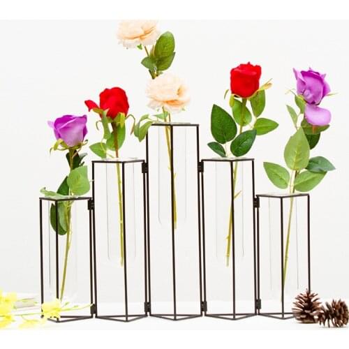 Nordic Creative Test Tube Hydroponic Flower Ornament Wrought Iron Glass Removable Rotating Bottle Shelf Glass