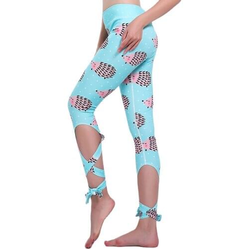 New Hedgehog Print Womens Blue Gym Yoga Pants S To 3xl Plus Size Gym Yoga Sports Bandage Dance Jogging Leggings