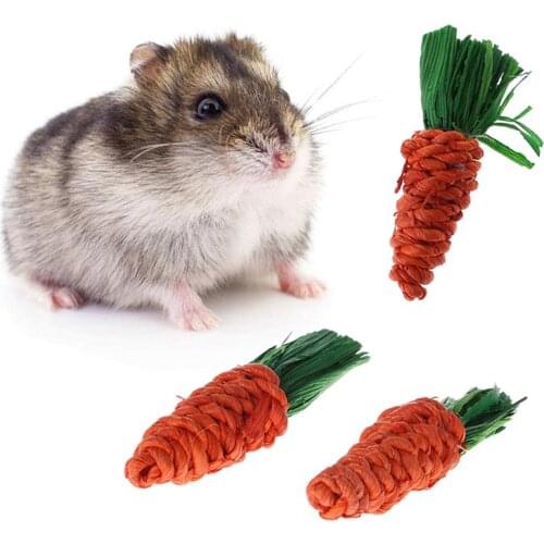3Pcs/Set Carrot Shaped Rabbit Hamster Chew Bite Toys Shaped Rabbit Hamster Chew Bite Toy Guinea Pig Tooth Cleaning Toys Supplies