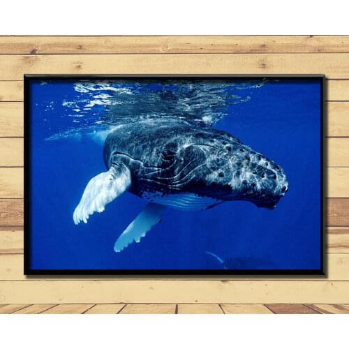 Humpback Whale Ferocious Giant Marine Animal (18) Wall Posters Wall Posters Prints Silk Art Painting For Home Wall Bedroom Decor