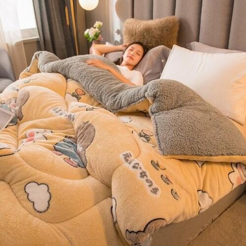 2021 New Thermal Lamb Double-Faced Velvet Quilt Wool Thicken Super Warm Winter Comforter Spring Autumn Blanket Double Comforter