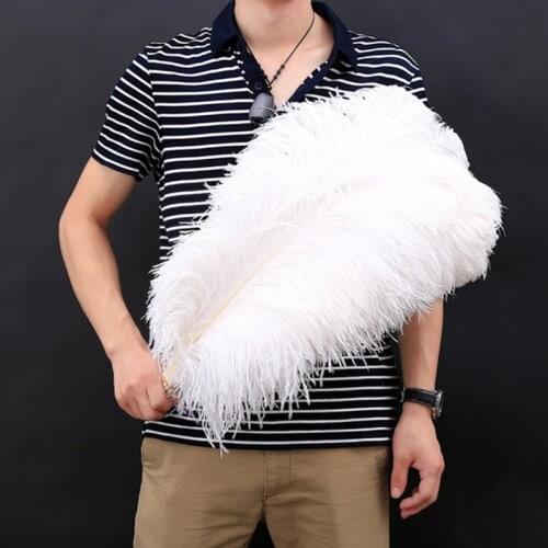 15-70CM 6-28inch All Size 10Pcs White Ostrich Feathers for Crafts Wedding Accessories Decoration Ostrich Feather Decor Plumes