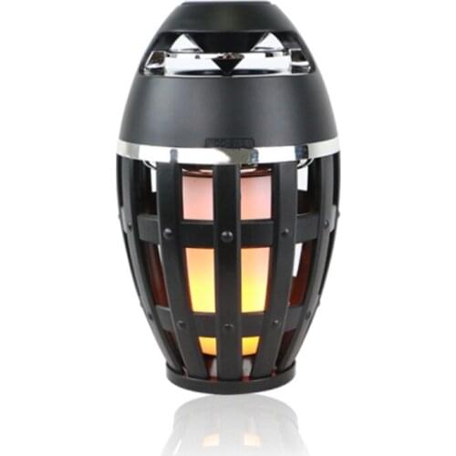 BEYONDSKY Portable Speakers