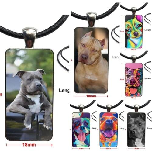 Jewelry With Steel Plated Glass Cabochon Choker Long Pendant Rectangle Necklace For Men Women Gift Beautiful The Pit Bull