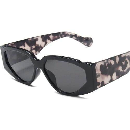 Small Frame Cat Eye Womens Sunglasses Women Sunglass Female Personality Pattern Mirror Legs Fluorescent Color Retro Literary