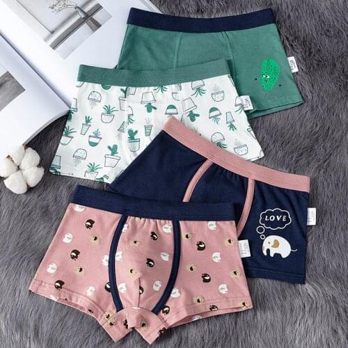 4 Piece Kids Boys Underwear Cartoon Childrens Shorts Panties for Baby Boy Boxers Stripes Teenager Underpants
