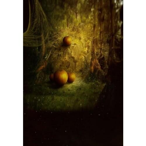 TR photography backdrop wall mount Halloween photo backdrop background for kids dark night cute pumpkin studio background cloth