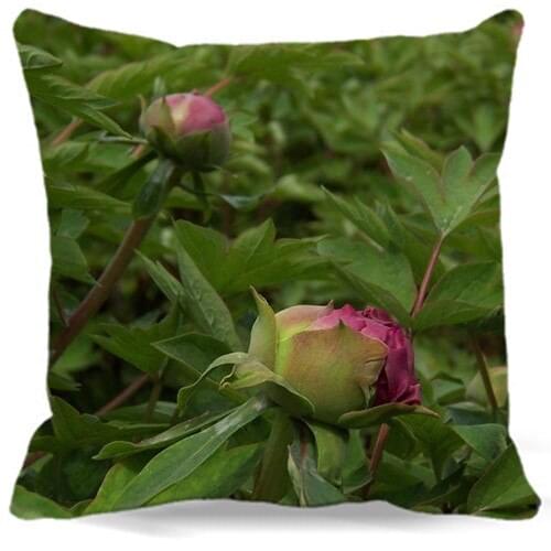Peony Garden Square green Cushion cover Cotton polyester bedroom/chair/car/sofa seat 16 18 20 inches 9 style