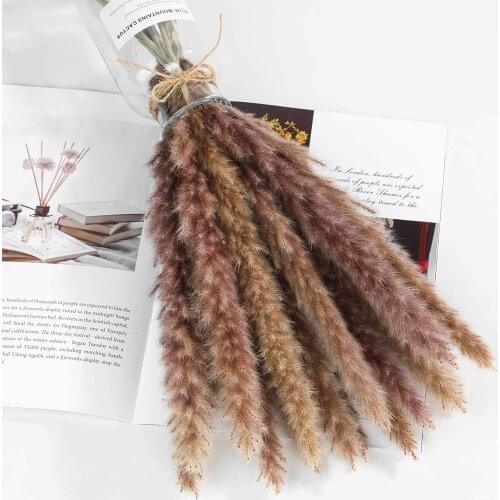 15Pcs Pampas Grass 18”Tall ,Dried Small Pampas Grass Branches for Vase Flower Arrangement Wedding Kitchen Home Décor(White