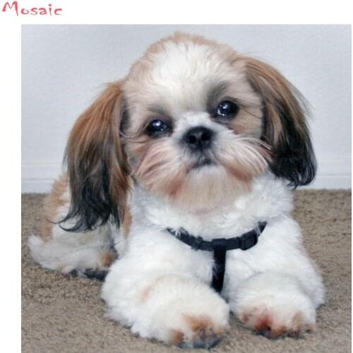 Shih tzu dog,diy handmade diamond painting animals 5D FULL Square free shipping cross stitch kit diamond embroidery mosaic decor