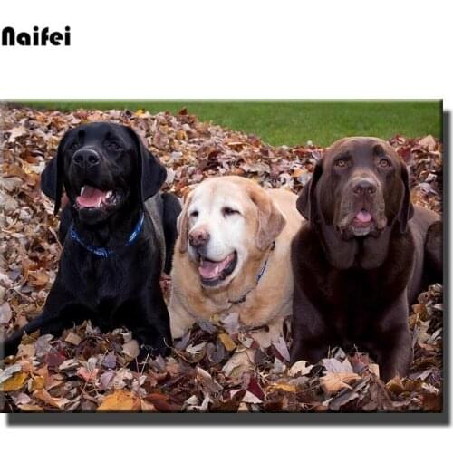 Full square Round diy 5d diamond painting dog Labrador diamond mosaic cross stitch diamond embroidery animal 3d picture art