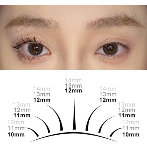 COZBIRD Decorative Cosmetics