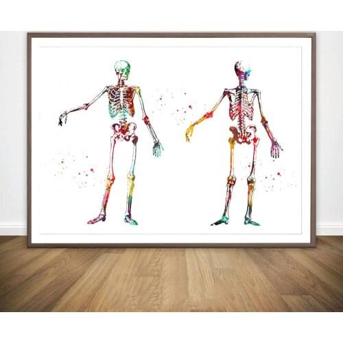 Human Body Skeleton Human Body Skeleton Brain Illustration Anatomical Medical And Science Poster